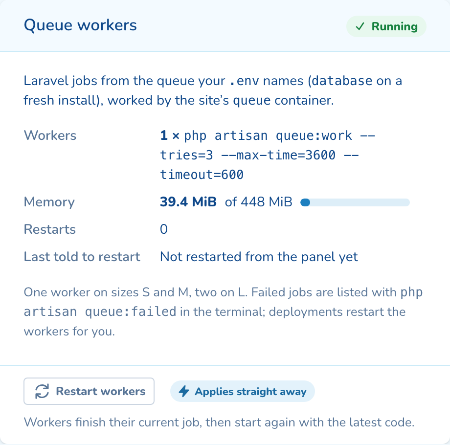 The Queue workers card: running, one worker, its memory and restarts