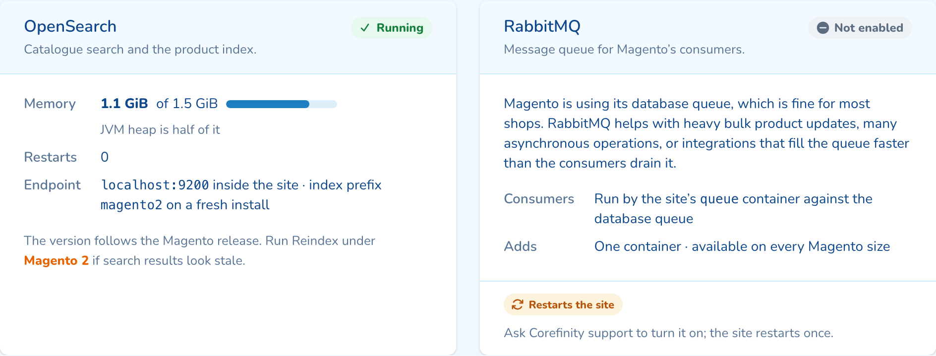 The OpenSearch and RabbitMQ cards on the Runtime tab